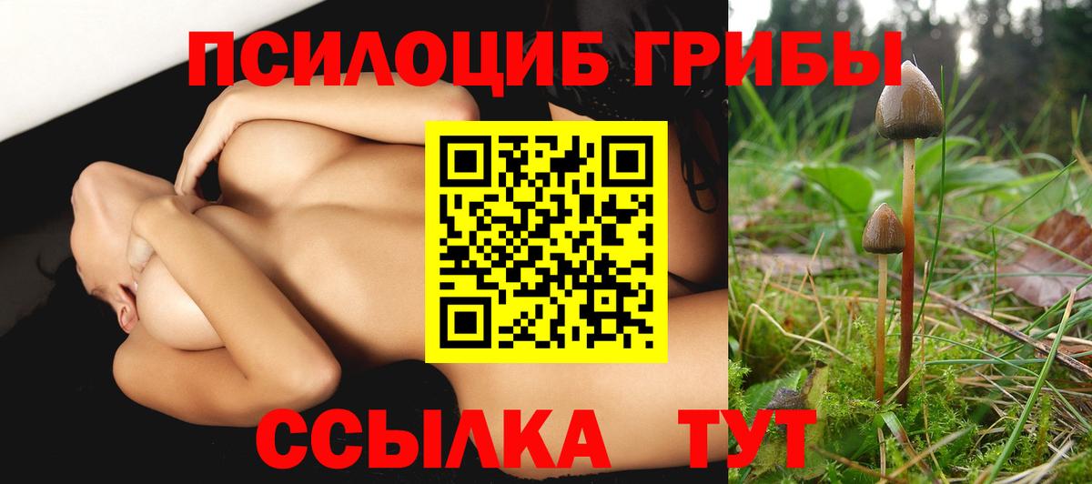 Галлюциногенные грибы GOLDEN TEACHER Тосно